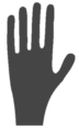 Hand with fingers.png